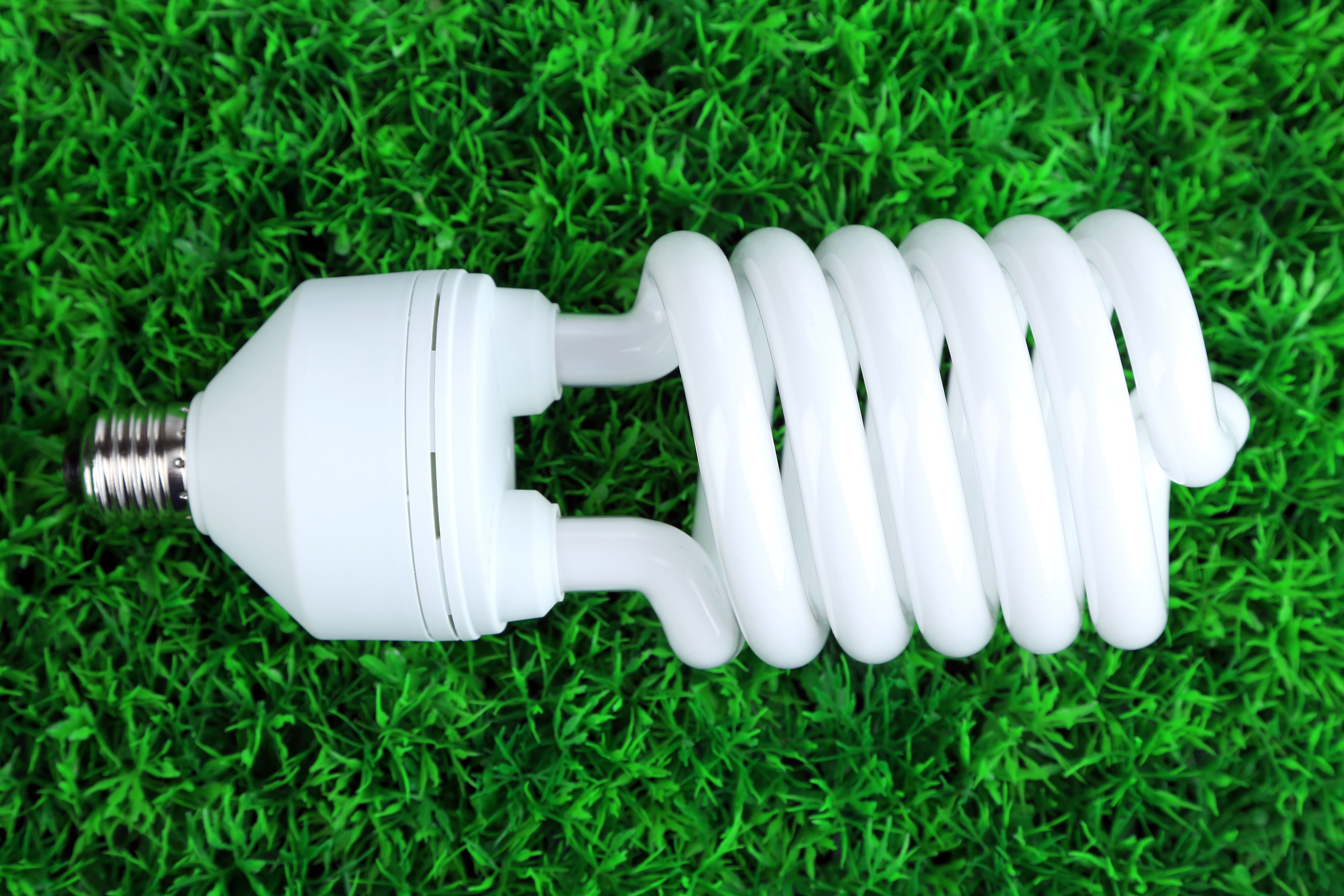 photo Energy-efficient light bulbs